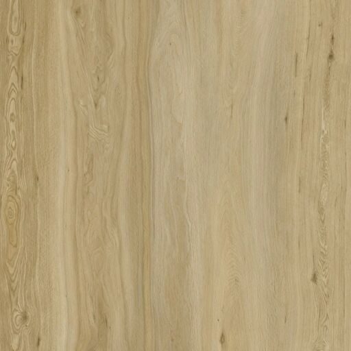 Tradition BML XL Titan Pale Oak SPC Rigid Vinyl Flooring, 228x6.5x1524mm Image 1