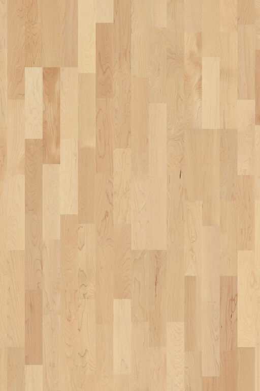 Boen Andante Maple Canadian Engineered 3-Strip Flooring, Oiled, 215x14x2200mm Image 1