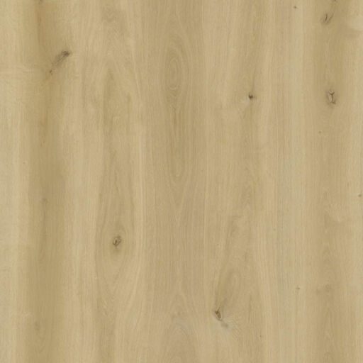 Tradition Eco Line Creamy Oak SPC Rigid Vinyl Flooring, 181x5.2x1220mm Image 1
