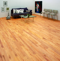 Junckers Beech Solid 2-Strip Wood Flooring, Untreated, Variation, 129x22mm
