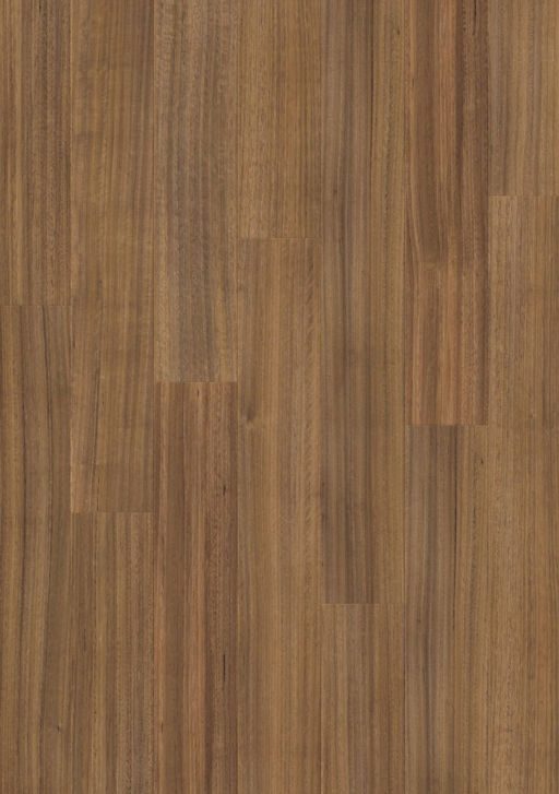 Balterio Traditions Hobart Laminate Flooring, 9mm