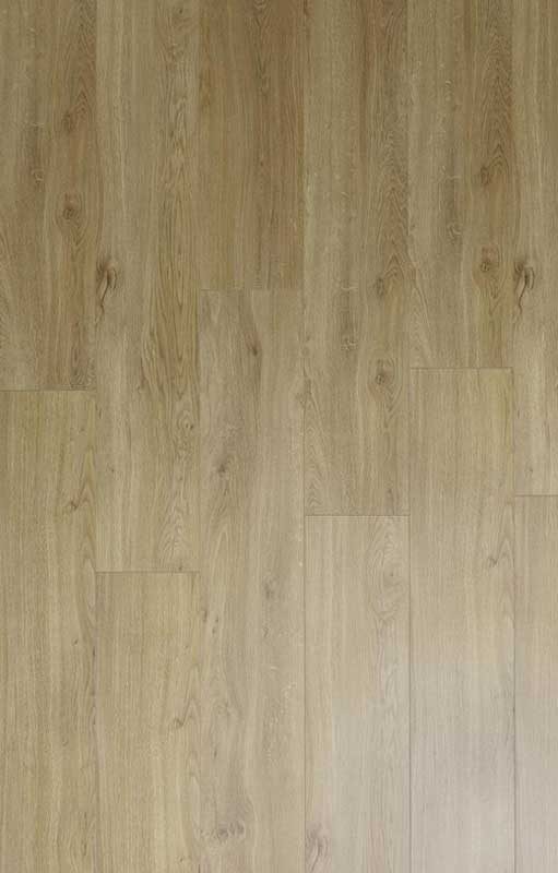 Classen Swiss Noblesse 4V