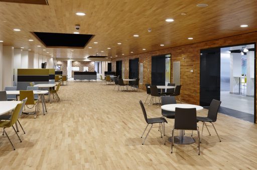 Junckers Beech Solid 2-Strip Wood Flooring, Ultra Matt Lacquered, Harmony, 129x14mm