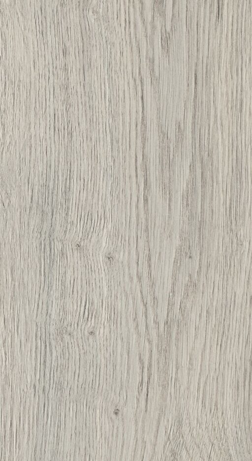 Woodland, Gisburn Oak Laminate Flooring, 8mm