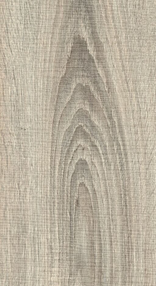 Woodland Wyre Oak Laminate Flooring, 8mm