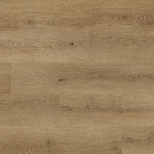 XFLOOR, SPC WOODSTOCK, 5.5mm