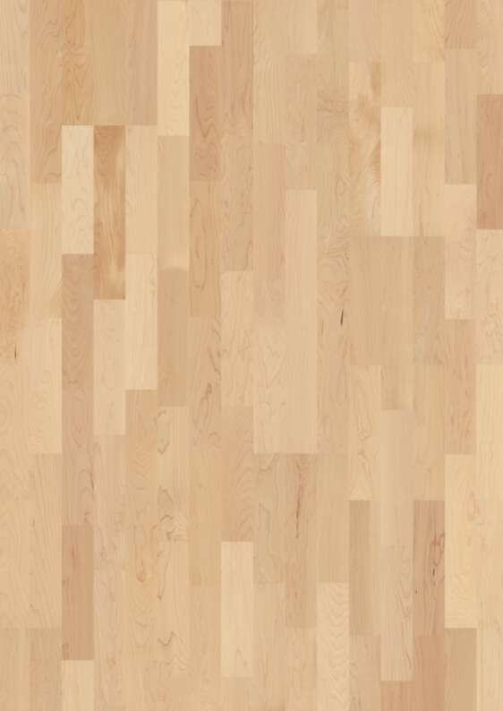 Boen Transparent Maple can. 3-Strip 14 mm Wood Flooring, Sanded, Live Natural, 14x215x2200 mm Image
