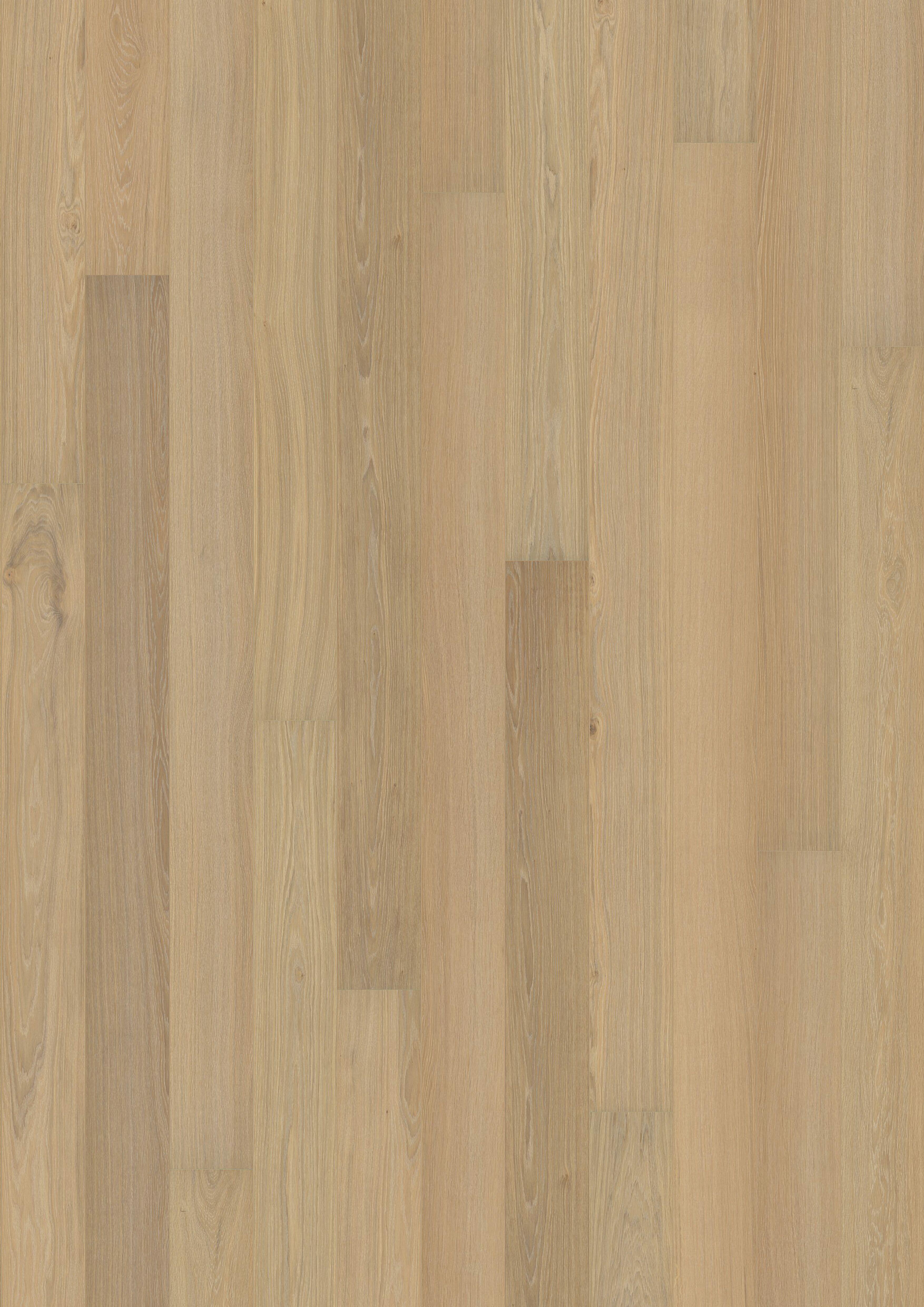Kahrs Capital Oak Paris Ultra Matt Narrow Image