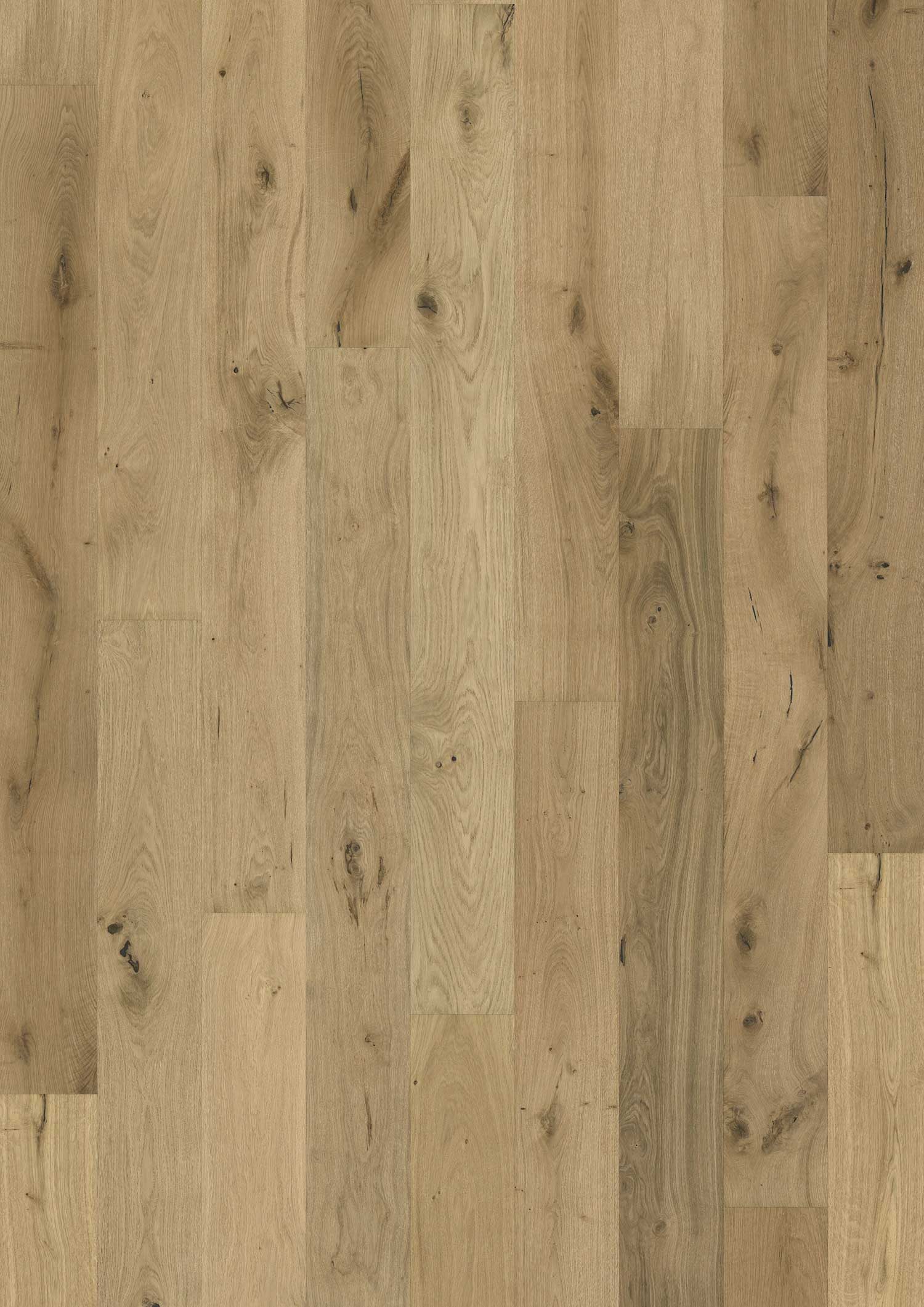 Kahrs Ingresso Oak Grano Oiled Image